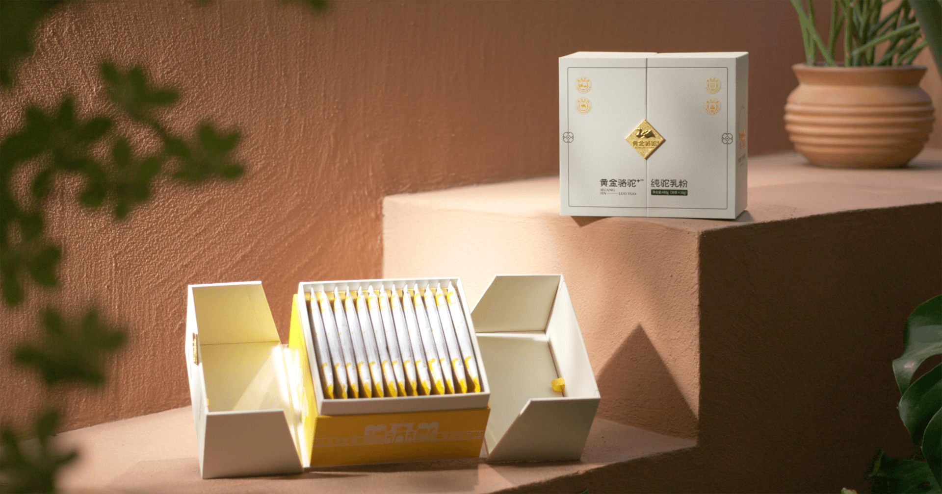 定位小众高端乳粉，AG庄闲推出驼奶品牌“黄金骆驼+”，角逐乳品新市场！